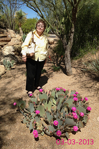 janell mayo cactus garden 2013